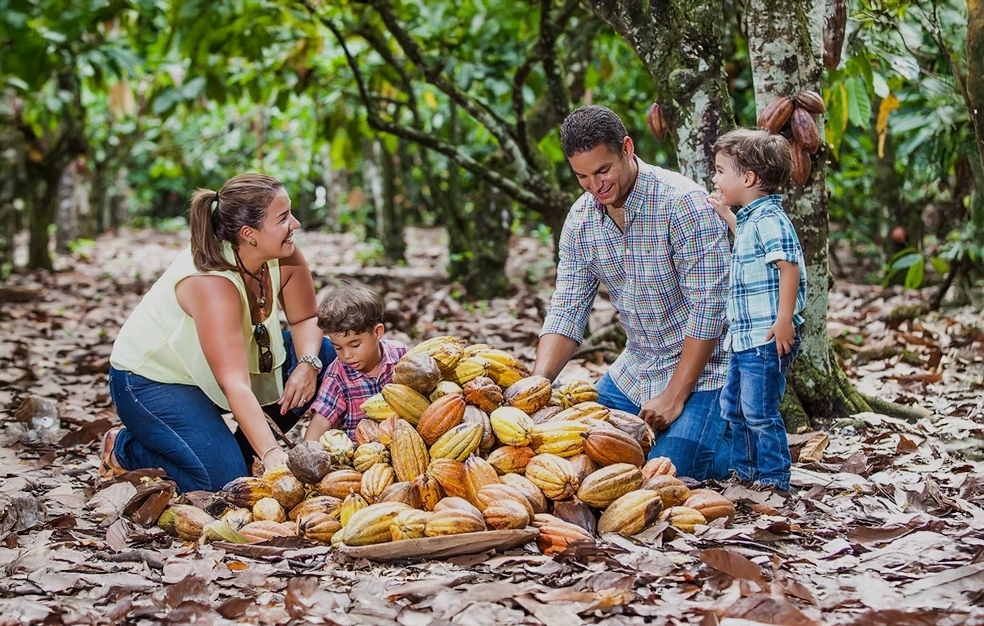 Sendero del Cacao desde Santo Domingo - 1