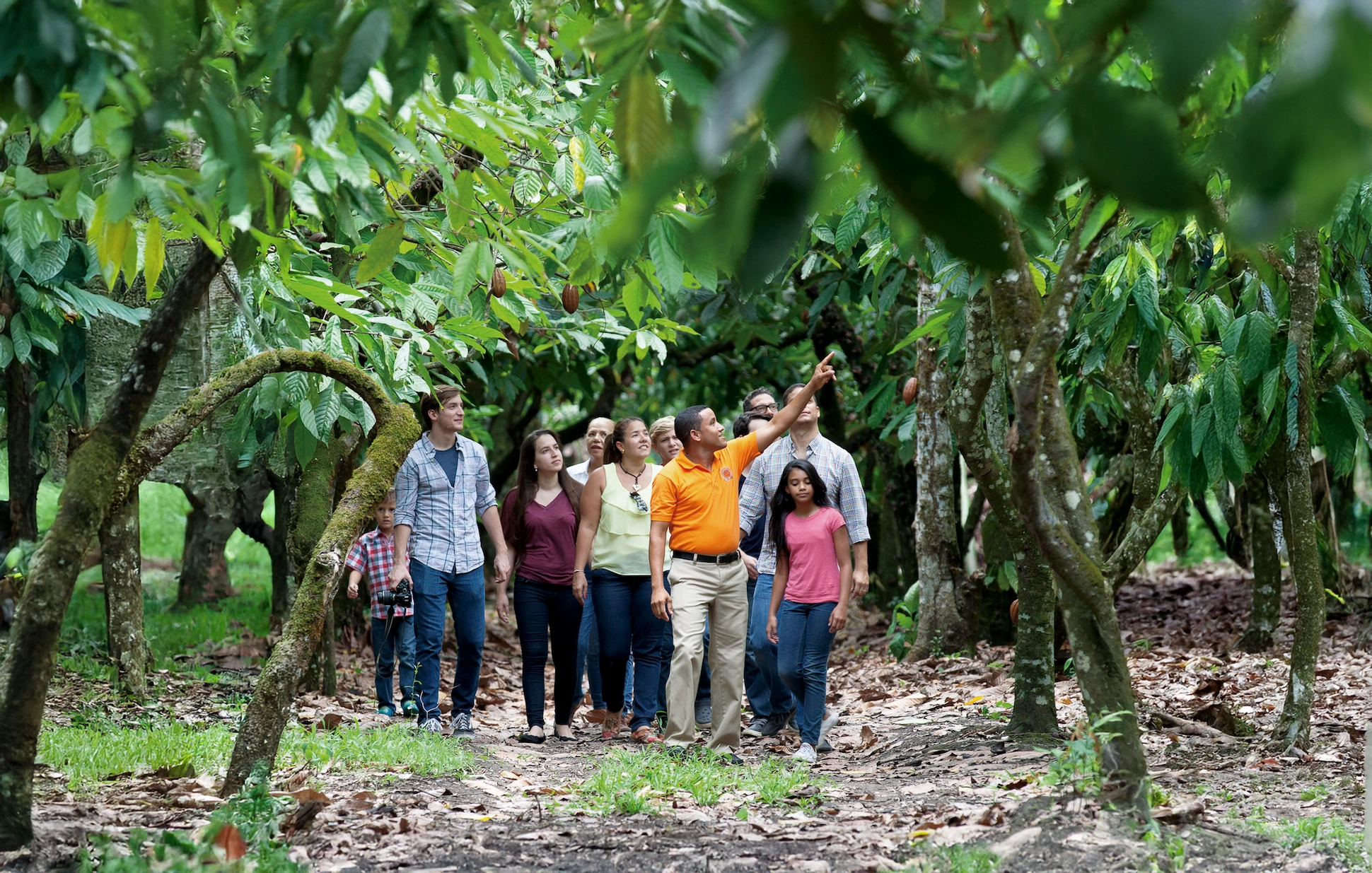 Sendero del Cacao desde Santo Domingo - 5