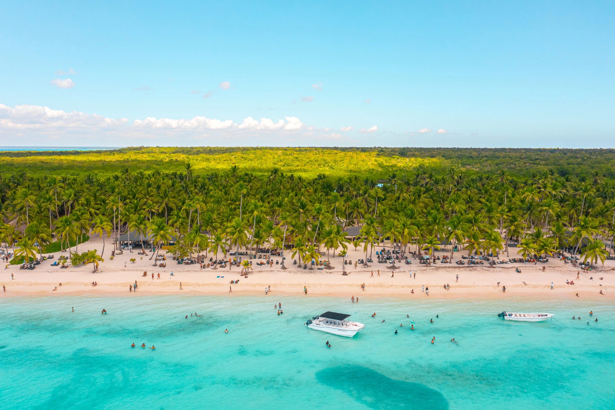 Isla Saona, playa con palmeras